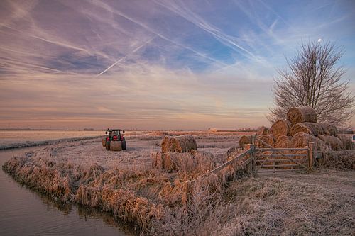 Dawn; This farmer is working early on his land during this beautiful morning with hoarfrost on the fields