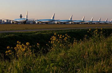 Die Boeing 777 der KLM auf dem Flughafen Schiphol geparkt von Robin Smeets