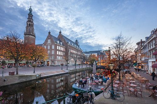 Nieuwe Rijn, Leiden