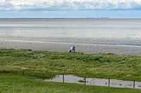 Work on the mudflats