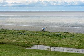 Arbeiten im Wattenmeer von Wiebe Terpstra