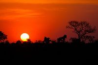Zonsondergang in Afrika