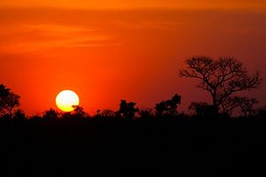 Coucher de soleil en Afrique
