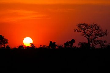 Coucher de soleil en Afrique sur Caroline Piek