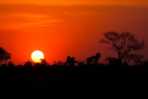Sunset in Africa