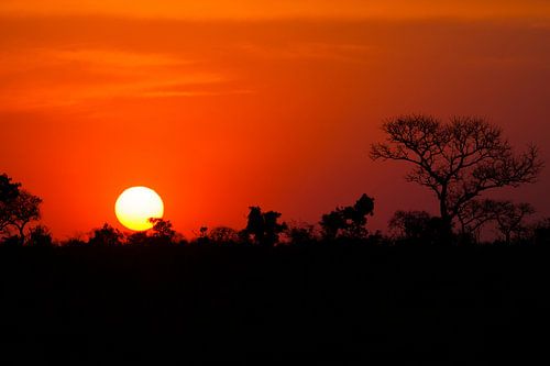 Zonsondergang in Afrika