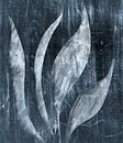 Tulip leaves by Kay Weber thumbnail