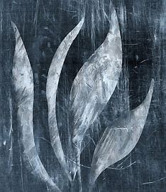 Tulpenblätter von Kay Weber