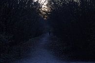 Scary Path by Bram Jansen thumbnail