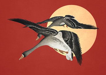 Ohara's Geese at Full Moon by Marja van den Hurk