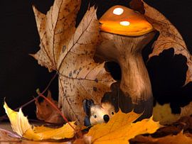HERFSTDECORATIE van Photoart-Naegele