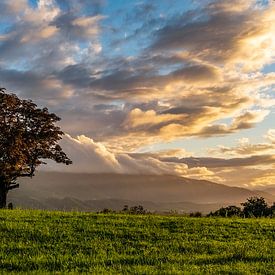 Abendstimmung mit Baum von Hilke Maunder