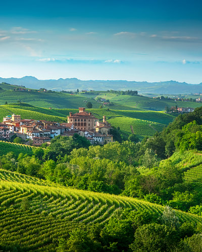 Barolo Village and Castle in Langhe Vineyards, Piedmont, Italy