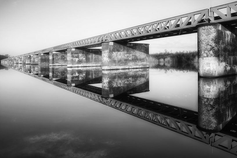 Water Mirror by Maikel Brands