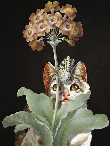 Feline Focus von Marja van den Hurk