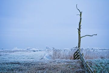 Winter landschap Leeuwarden (Friesland)  van Scarlett Bus