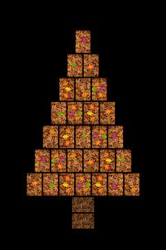 Christmas trees edition 2022 by images4nature by Eckart Mayer Photography