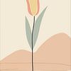 Crème tulp van MPA ARTS