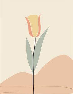 Crème tulp