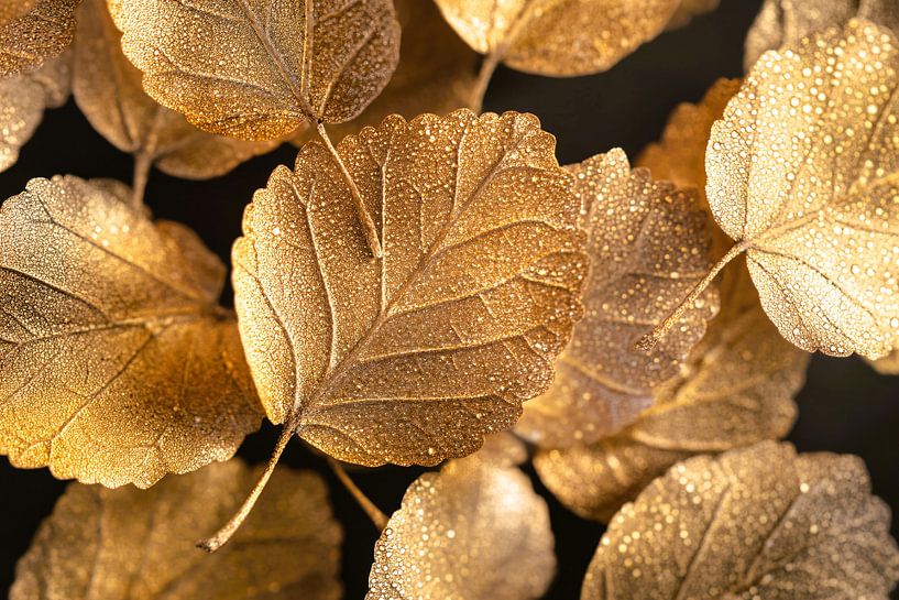 Bronze leaves with dew by Art & Soul Creations