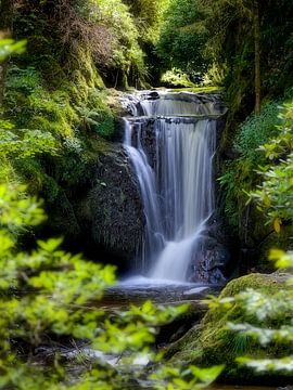 View through to a beautiful waterfall in the black forest