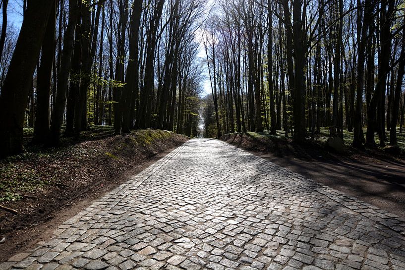 Pflasterstraße bei Klein Stresow auf Rügen von GH Foto & Artdesign