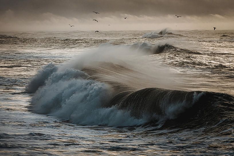 When the tide rushes in by Gerry van Roosmalen