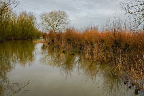 Getijden Grienden aan de Oude Maas