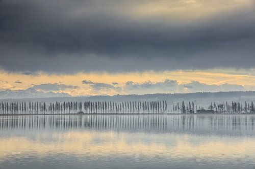 Doortocht naar het eiland Reichenau met populierenlaan - Bodenmeer