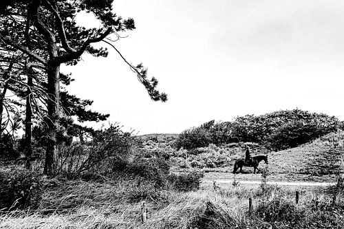 Ruiter in de duinen