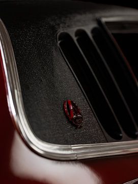 Dodge Charger van Jaimy Michelle Photography