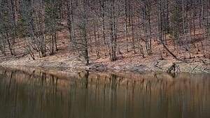 Stausee Barrage de la Gileppe von Rob Boon