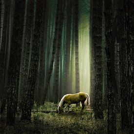 Stilte in het woud van annemiek groenhout