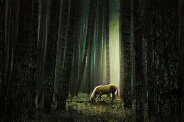 Stille im Wald von annemiek art