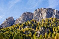 Dolomites Rocks in the Evening Sun by Gisela Scheffbuch thumbnail