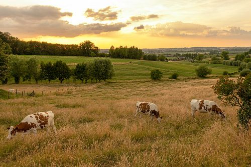 zonsondergang in kluisbergen