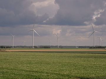 Windmolens in de flevopolder van Nederland van Robin Jongerden