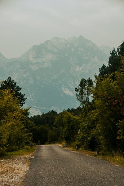 Le chemin vers les rochers à Arco, Italie par Manon Verijdt