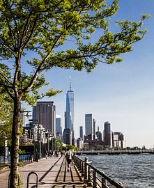 Memorial von Ruby Schiffer