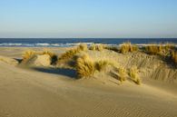 Duinen, strand en zee van Michel van Kooten thumbnail