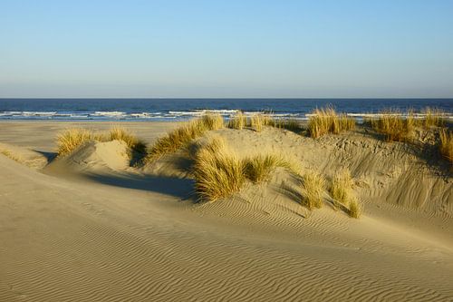Duinen, strand en zee