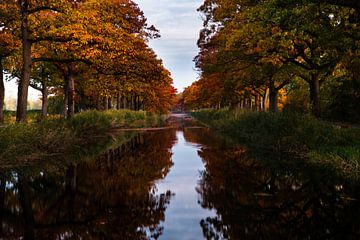 Het kanaal in herfsttint in Apeldoorn van Kelvin Middelink