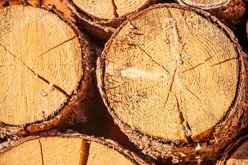 Gravures sur bois rondes