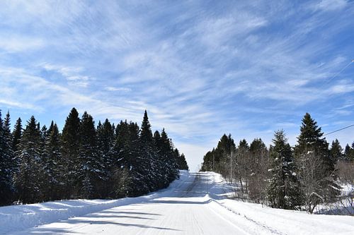 De Noordelijke Rijweg in de winter