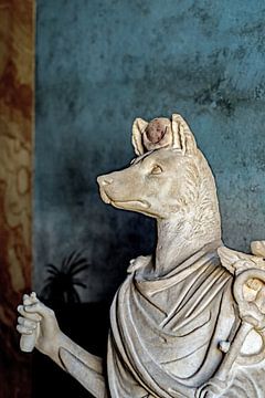 Anubis