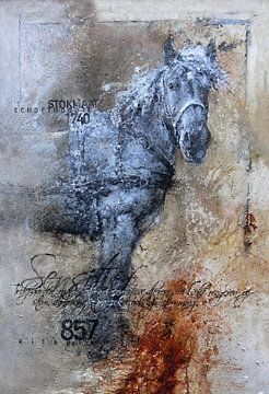 Trekpaard van Peter van Loenhout