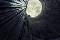 to the moon by Dieter Herreman thumbnail