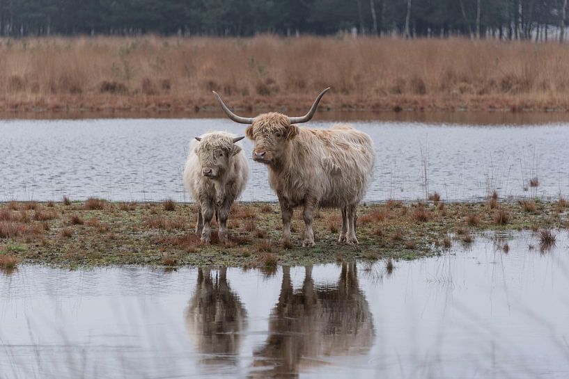 Moeder en kind van Ans Bastiaanssen