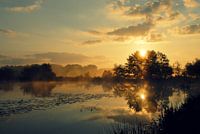 Morning Silence