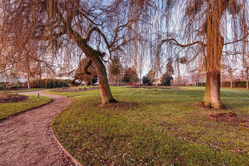 Parc du château de Cartils par Rob Boon